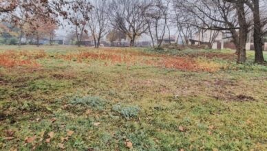 Wołomin - Informacja na temat terenu po dawnym cmentarzu żydowskim