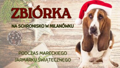 Marki - Zbiórka dla schroniska na Jarmarku Świątecznym