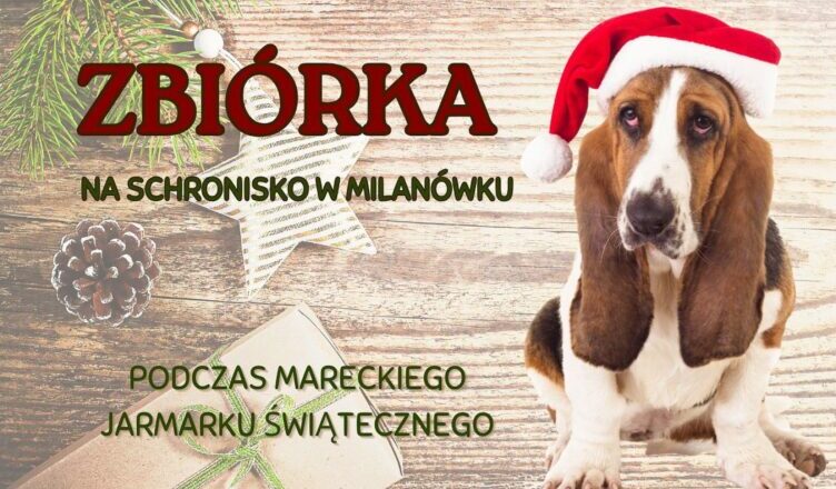 Marki - Zbiórka dla schroniska na Jarmarku Świątecznym