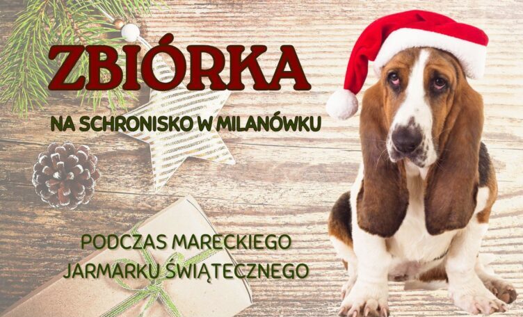 Marki - Zbiórka dla schroniska na Jarmarku Świątecznym