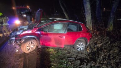 Dzika zwierzyna na drodze. Zdarzenie w Nowych Kucicach