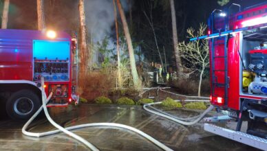 Wieczorny pożar w Rybienku Leśnym