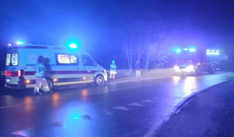 Samochód osobowy uderzył w drzewo