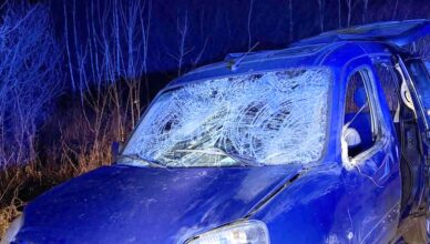 Zderzenie z łosiem w Równem - jedna osoba trafiła do szpitala