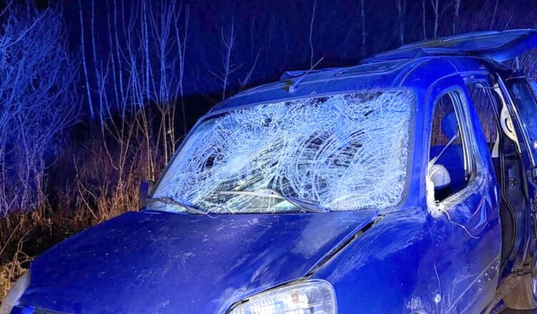 Zderzenie z łosiem w Równem - jedna osoba trafiła do szpitala