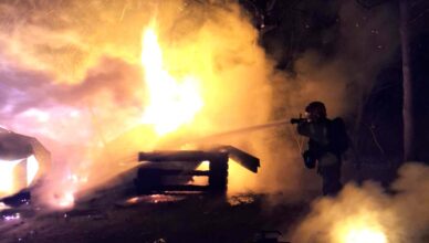 Pożar pszczelarni w Wołominie