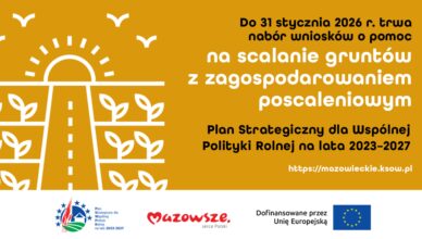 Rozpoczął się nabór wniosków o przyznanie pomocy na scalanie gruntów