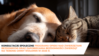 Wołomin - Konsultacje społeczne programu opieki nad zwierzętami na 2026 rok