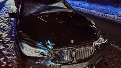 Zderzenie z łosiem w Kolonii Mordy. Policja apeluje o ostrożność