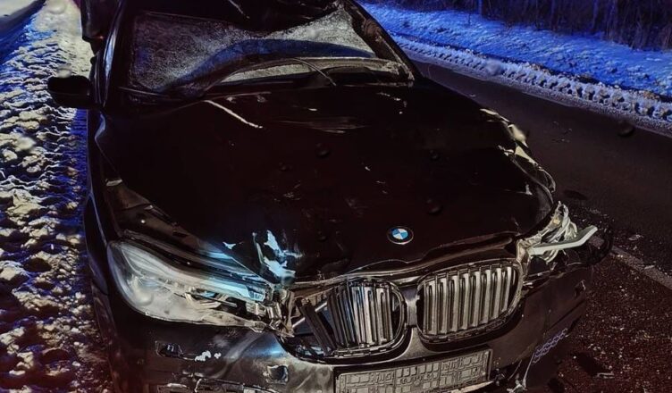 Zderzenie z łosiem w Kolonii Mordy. Policja apeluje o ostrożność