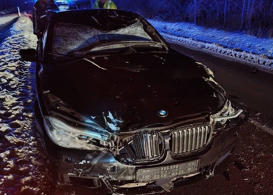 Zderzenie z łosiem w Kolonii Mordy. Policja apeluje o ostrożność