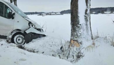 Renault uderzył w drzewo. 2 osoby trafiły do szpitala