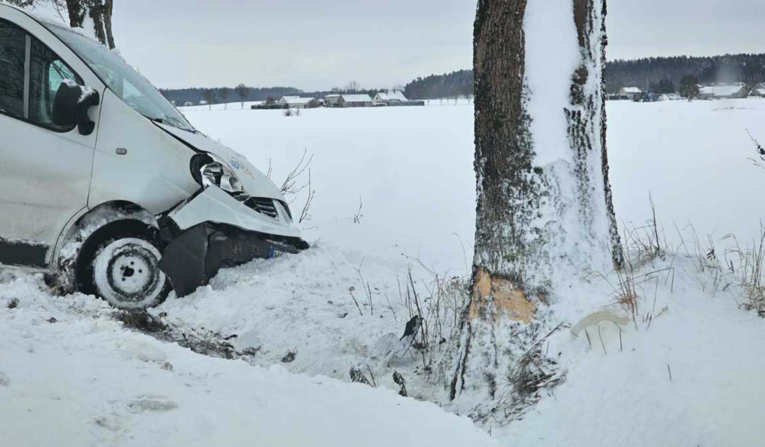 Renault uderzył w drzewo. 2 osoby trafiły do szpitala