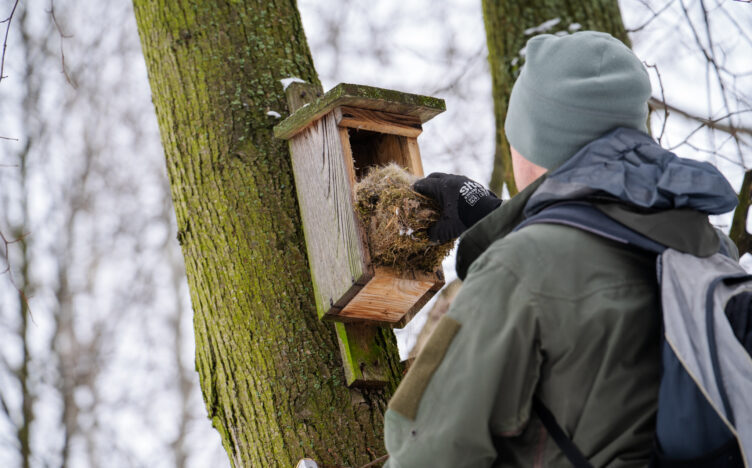 Zielonka - Czyszczenie budek lęgowych przed wiosną