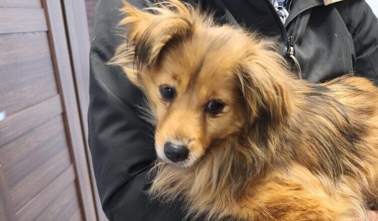 Ktoś na pewno za nią tęskni...