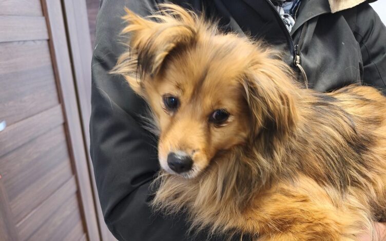 Ktoś na pewno za nią tęskni...