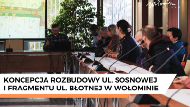 Wołomin - Koncepcja rozbudowy ulic Sosnowej i Błotnej