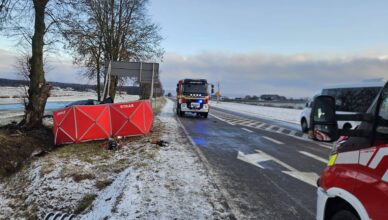 Śmiertelny wypadek na DW 677. Osobówka roztrzaskała się o drzewo – kierowca nie żyje