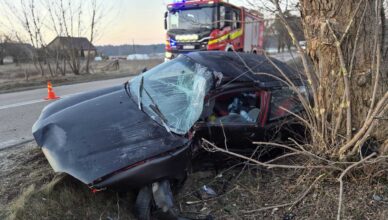 Groźny wypadek w Psucinie. Samochód z impetem uderzył w drzewo – jedna osoba trafiła do szpitala