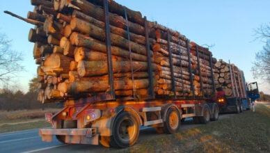 Kierowca ciężarówki bez uprawnień i z przekroczonym limitem punktów zatrzymany do kontroli