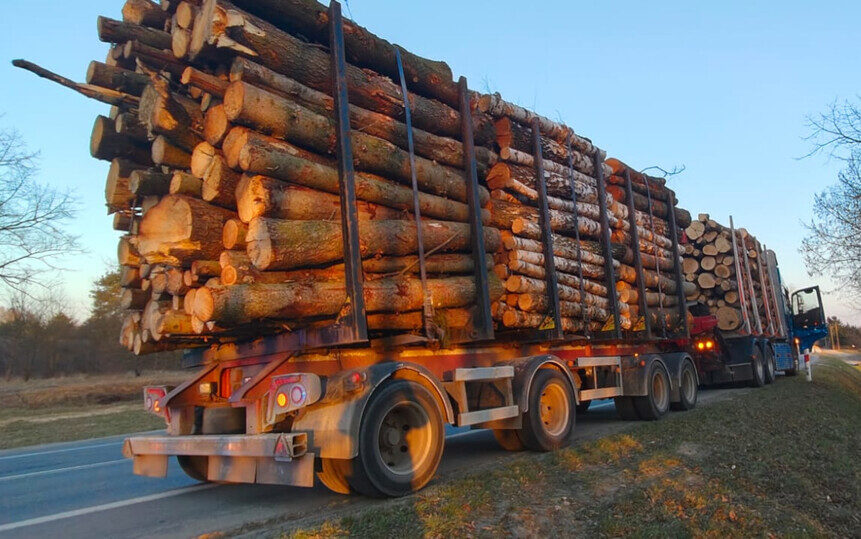 Kierowca ciężarówki bez uprawnień i z przekroczonym limitem punktów zatrzymany do kontroli