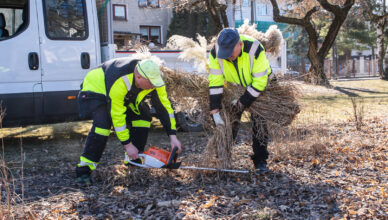 Zielonka - Porządkowanie miasta po zimie