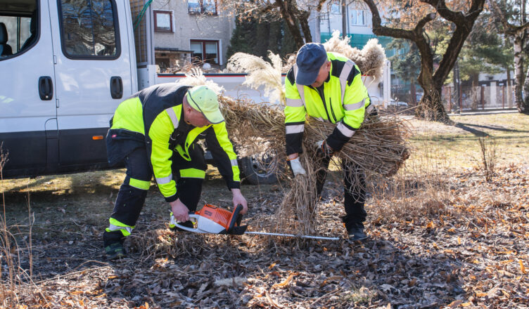 Zielonka - Porządkowanie miasta po zimie