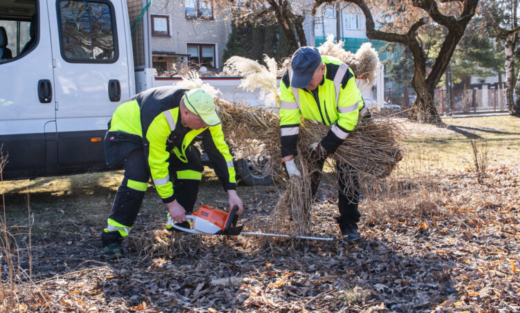 Zielonka - Porządkowanie miasta po zimie