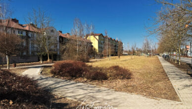 Wołomin - Powstaje nowy park przy ul. Reja