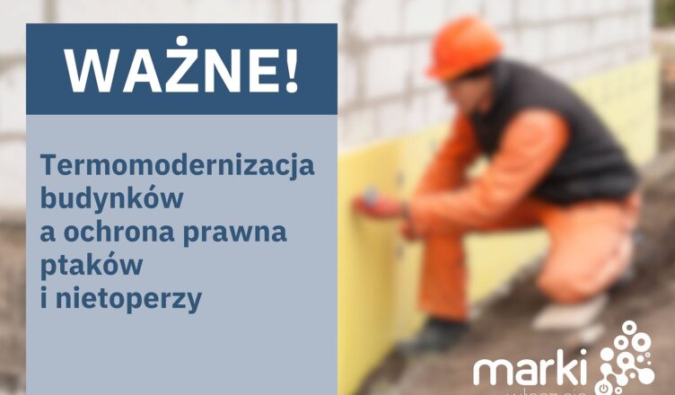 Termomodernizacja budynków a ochrona prawna ptaków i nietoperzy