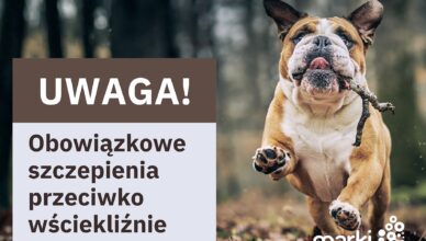 Marki - Zaszczep pupila przeciwko wściekliźnie