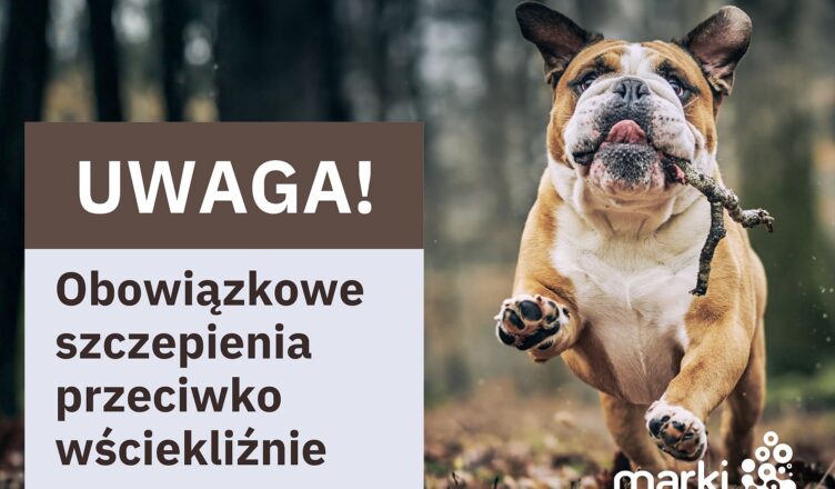 Marki - Zaszczep pupila przeciwko wściekliźnie