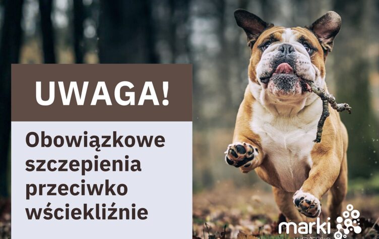 Marki - Zaszczep pupila przeciwko wściekliźnie