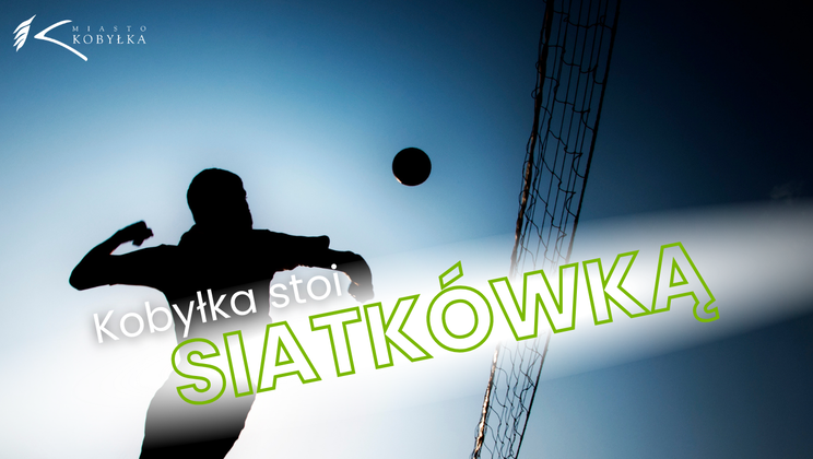 Kobyłka stoi siatkówką