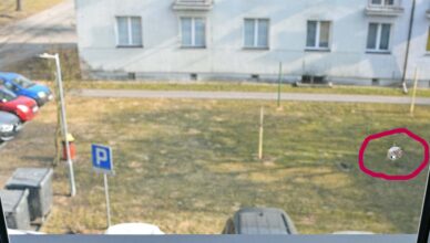 Uszkodził szyby w oknach bloku strzelając z broni pneumatycznej