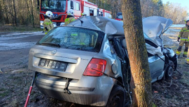 Osobówka wypadła z drogi i uderzyła w drzewo. Ranna kierująca przetransportowana śmigłowcem do szpitala