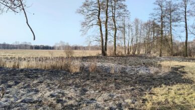 Wypalanie traw to realne zagrożenie – Policja ostrzega przed skutkami nieodpowiedzialności