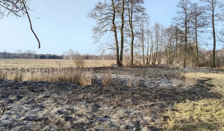 Wypalanie traw to realne zagrożenie – Policja ostrzega przed skutkami nieodpowiedzialności