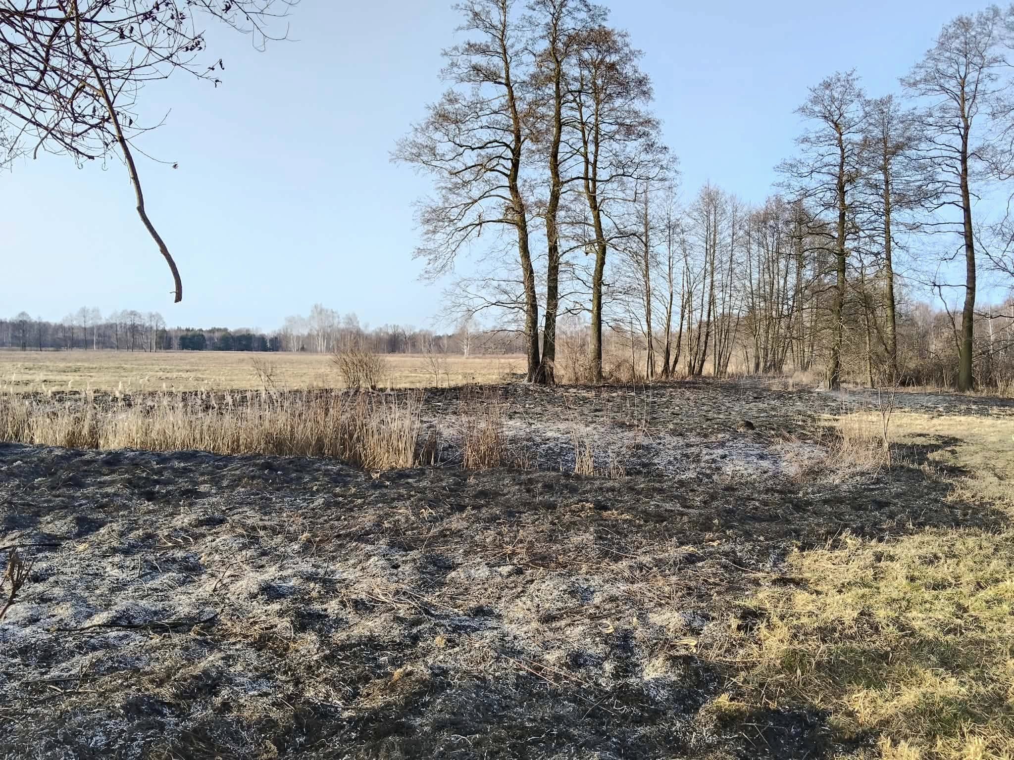 Wypalanie traw to realne zagrożenie – Policja ostrzega przed skutkami nieodpowiedzialności