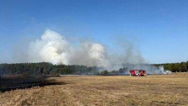 Ogromny pożar traw i nieużytków. Do akcji ruszył pluton „LAS” z powiatu wołomińskiego