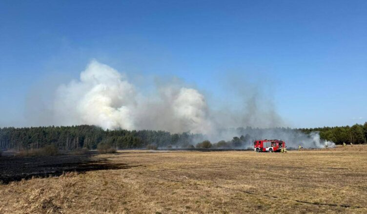 Ogromny pożar traw i nieużytków. Do akcji ruszył pluton „LAS” z powiatu wołomińskiego