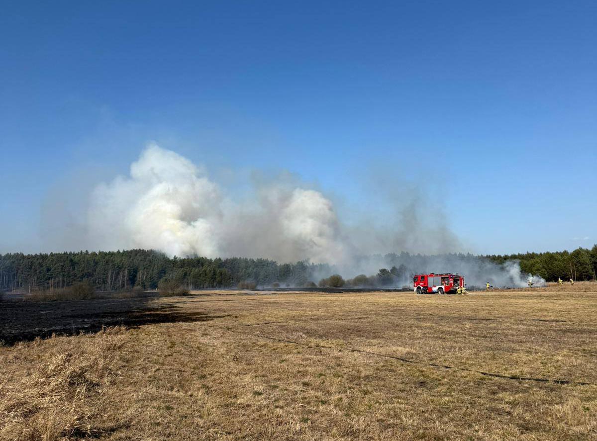 Ogromny pożar traw i nieużytków. Do akcji ruszył pluton „LAS” z powiatu wołomińskiego