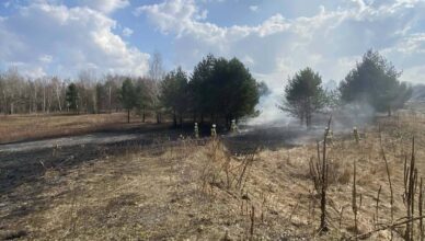 Ogień w Kobyłce! Spłonęły hektary nieużytków – strażacy w akcji