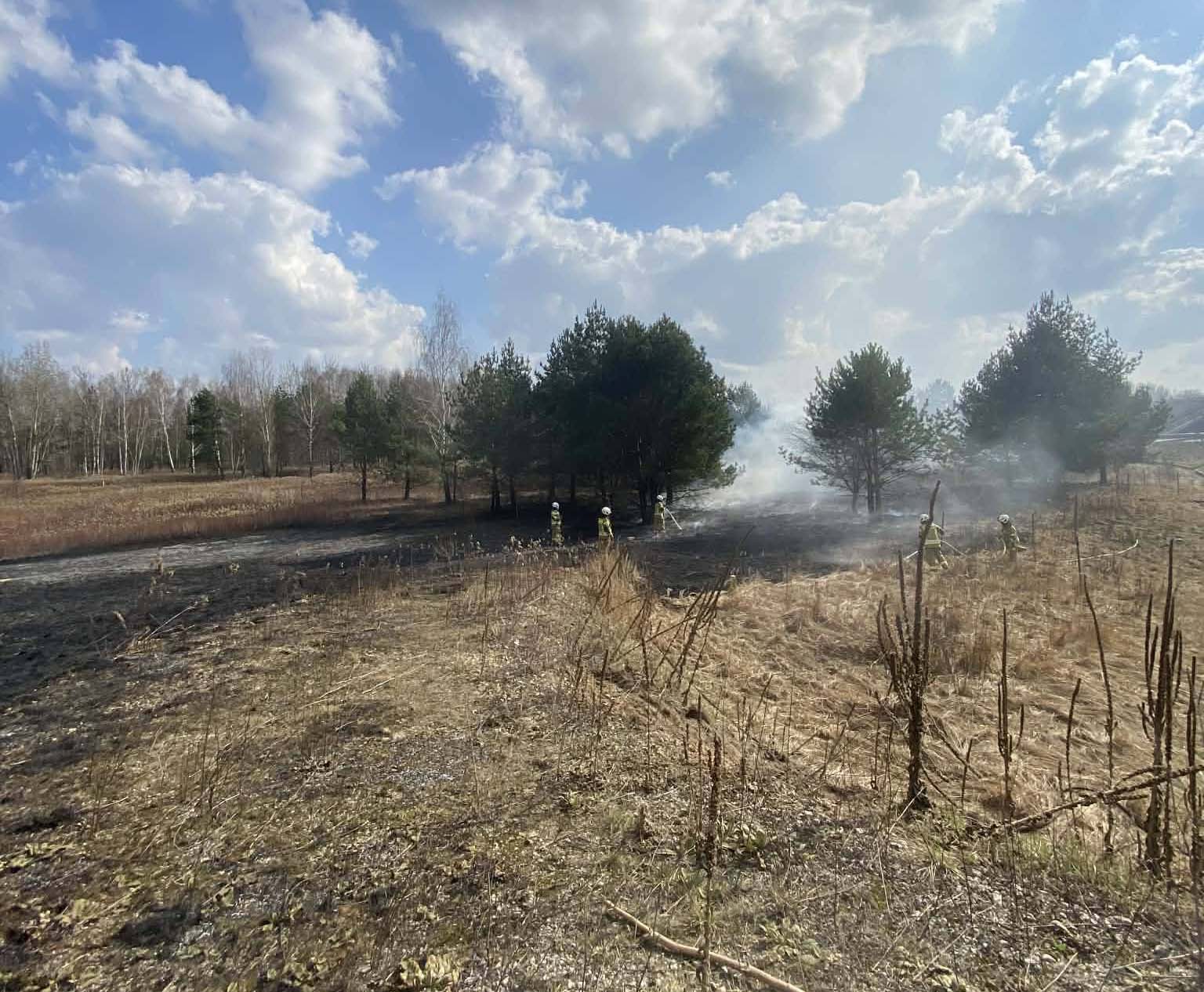 Ogień w Kobyłce! Spłonęły hektary nieużytków – strażacy w akcji