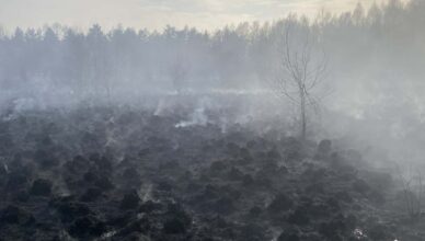 Spalona ziemia, kłęby dymu i realne zagrożenie – pożar traw i nieużytków w Miąsem