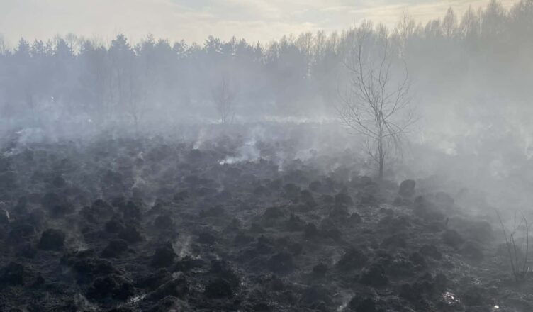 Spalona ziemia, kłęby dymu i realne zagrożenie – pożar traw i nieużytków w Miąsem