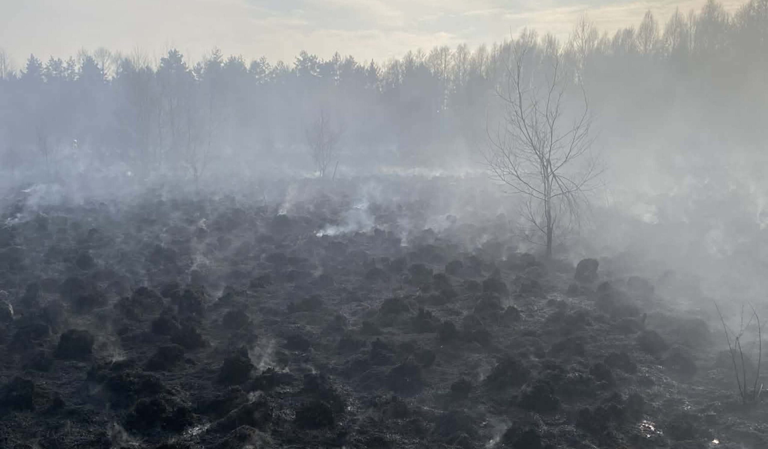 Spalona ziemia, kłęby dymu i realne zagrożenie – pożar traw i nieużytków w Miąsem