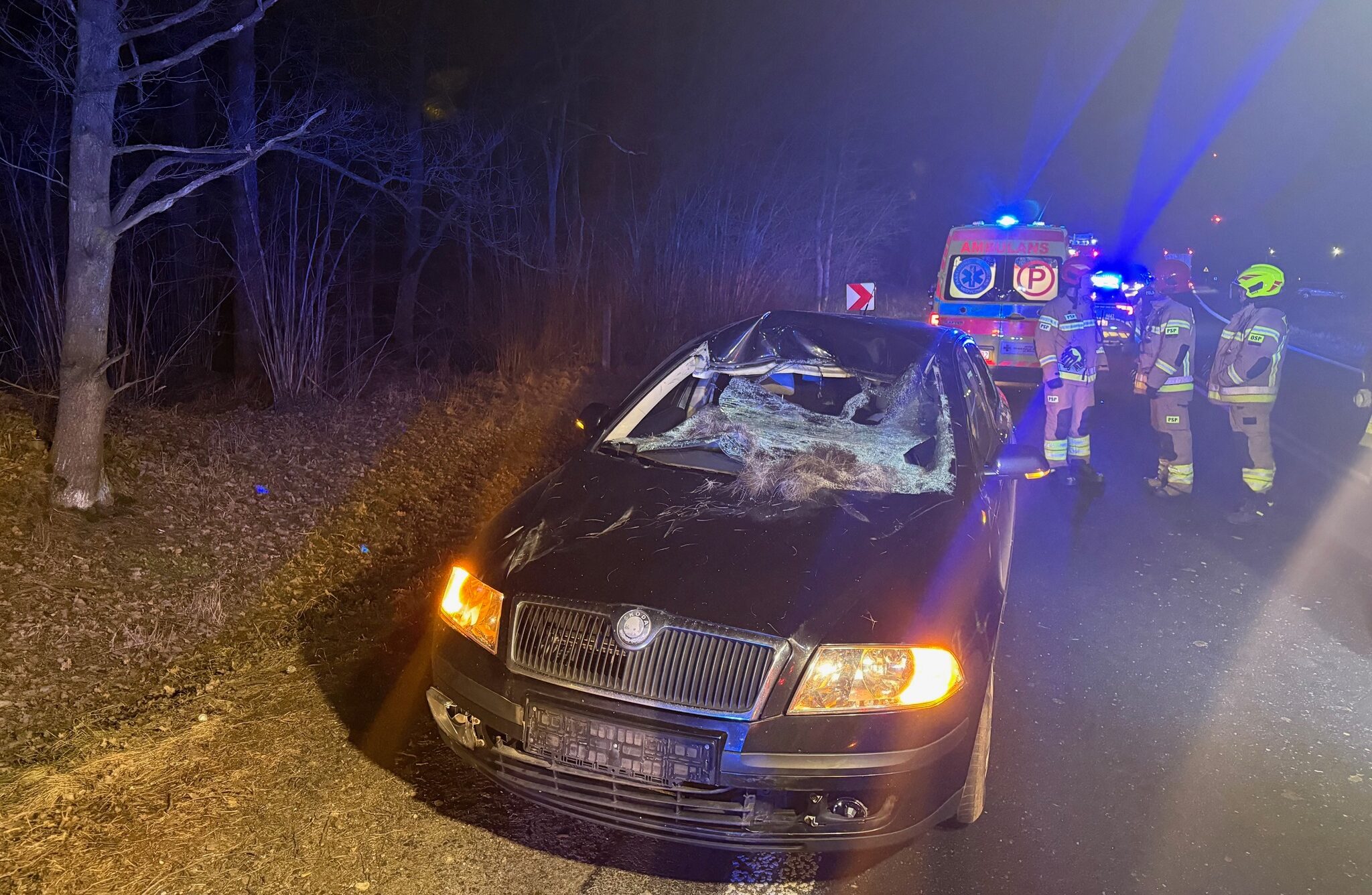 Potężny łoś wpadł na samochód. Dramatyczny wypadek na DK53.