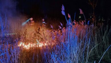 Nocny pożar traw w Markach. Ogień rozświetlił ciemność, strażacy ruszyli do akcji