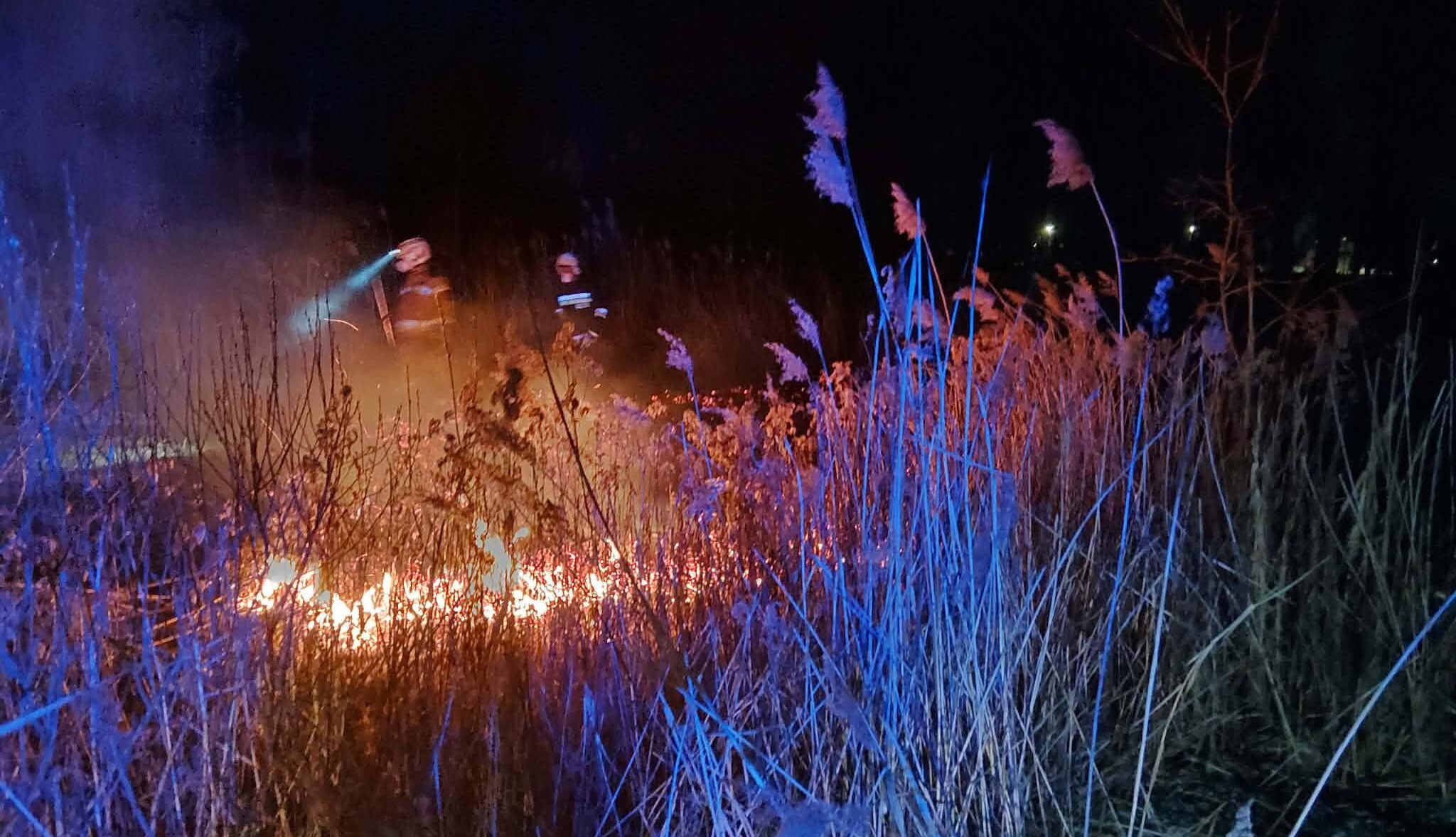 Nocny pożar traw w Markach. Ogień rozświetlił ciemność, strażacy ruszyli do akcji